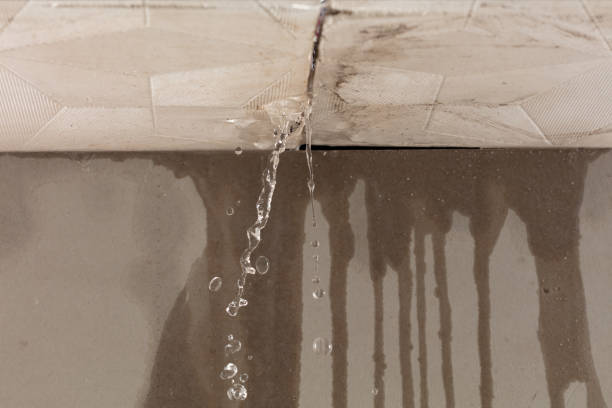 Professional Burst Pipe Cleanup technician working in Uehling, NE